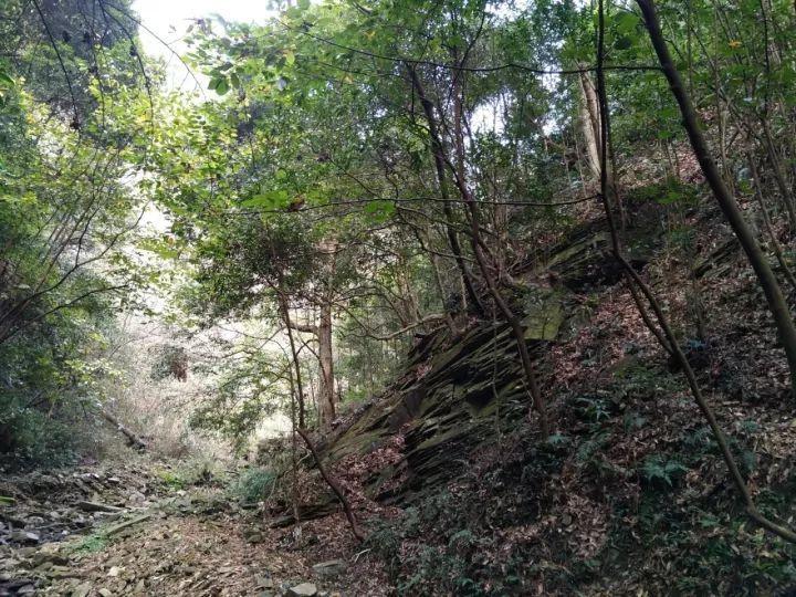 税惠红利催热 夷陵冬日经济